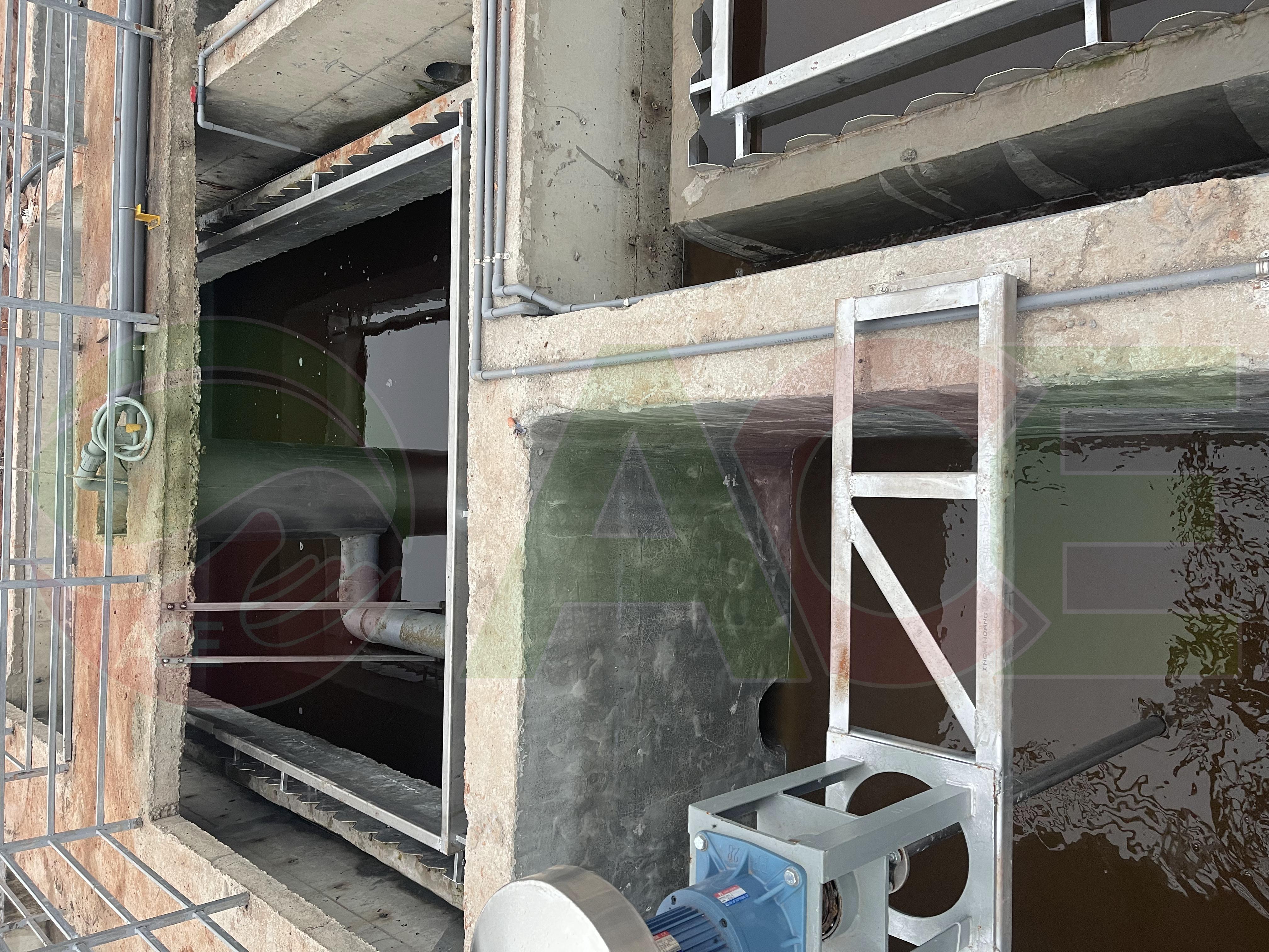 Giải pháp xử lý nước thải trang trại bò sữa