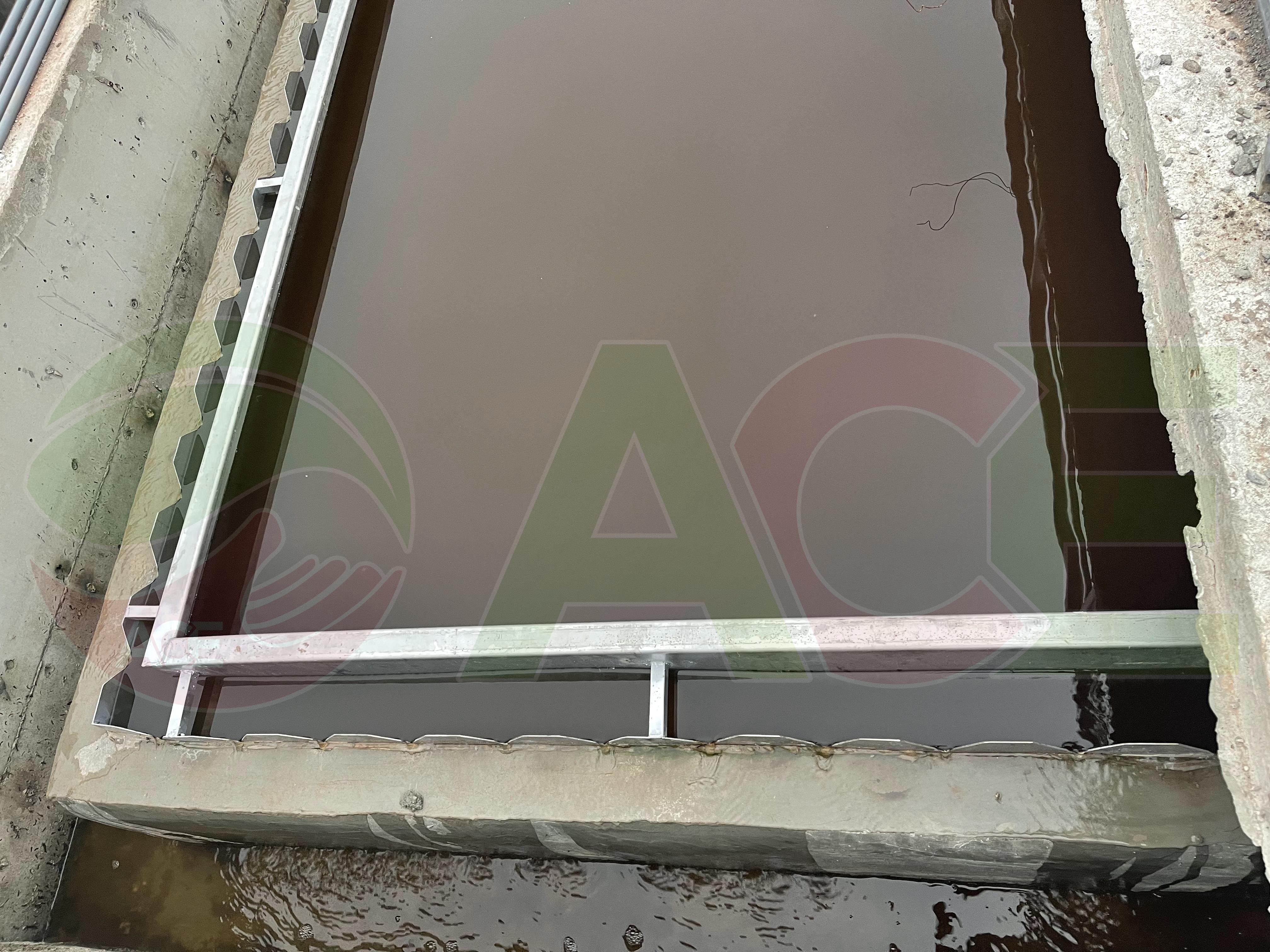  Xử lý nước thải chăn nuôi kết hợp thủy canh
