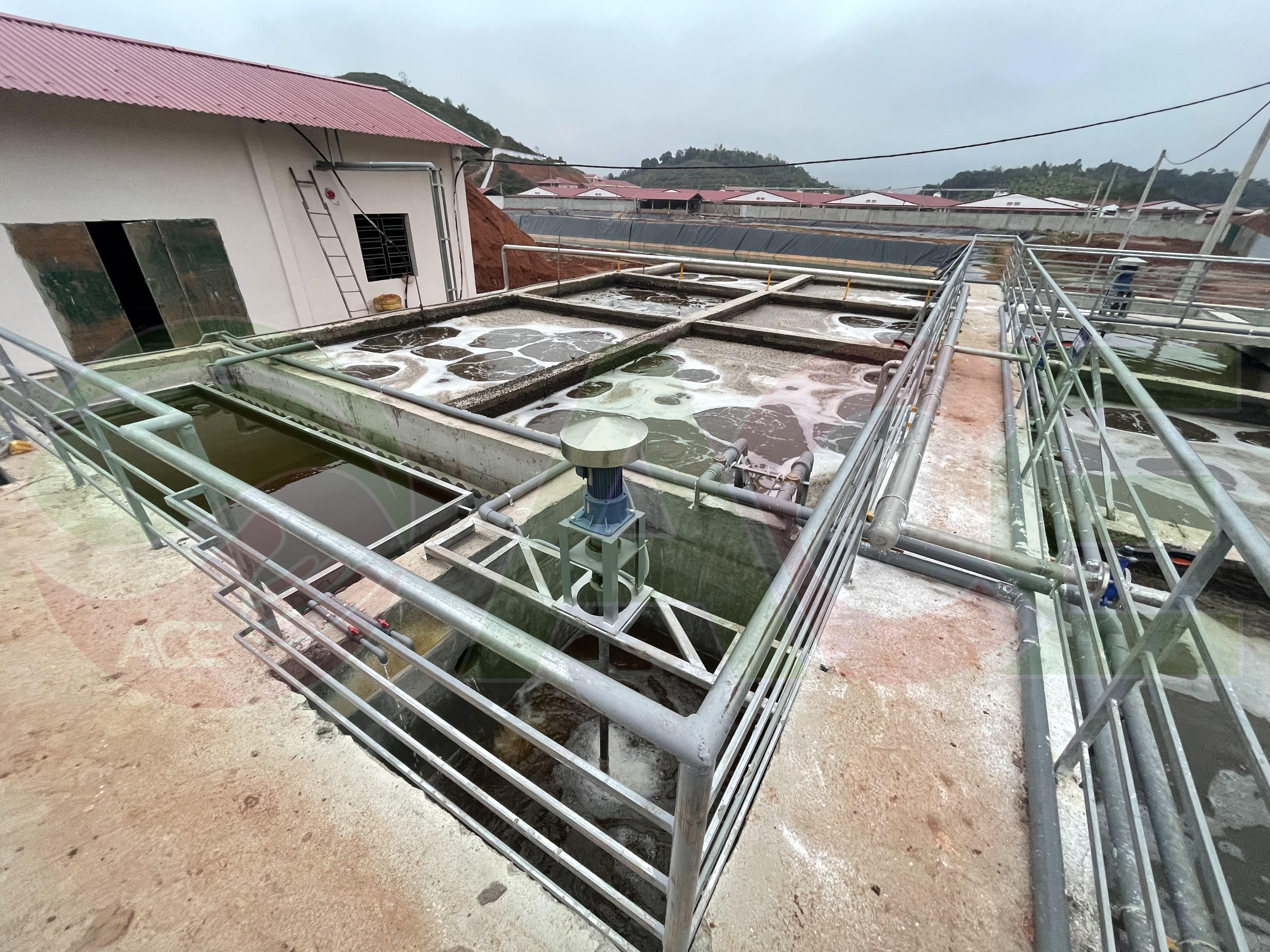 Công nghệ xử lý nước thải chăn nuôi