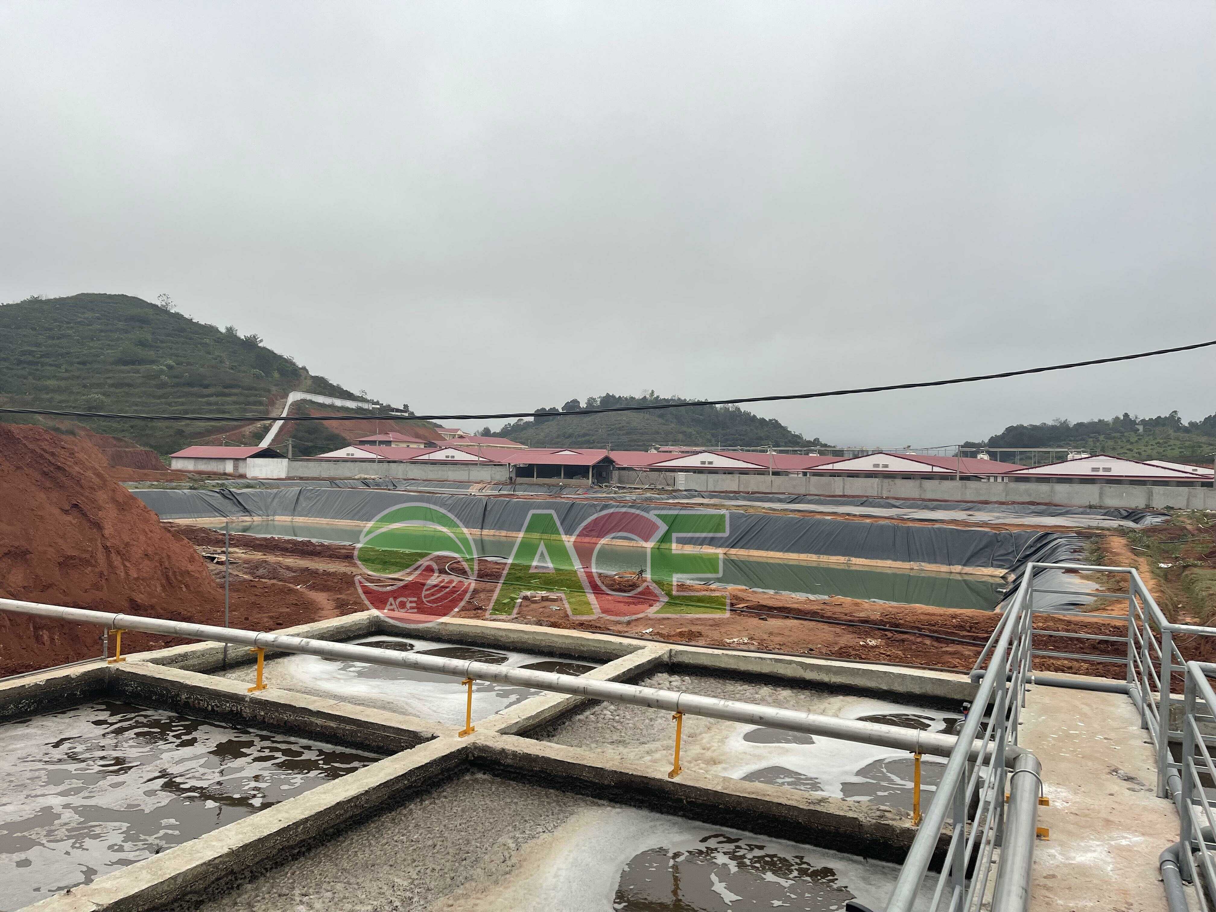  Xử lý nước thải chăng nuôi công suất 300 M3/Ngày